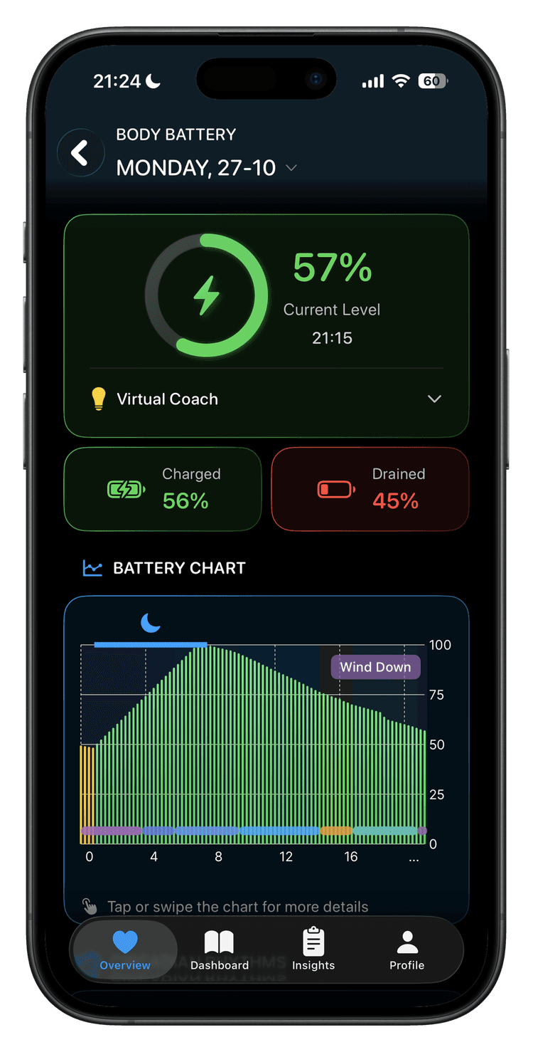 Body Battery Concept Visualization